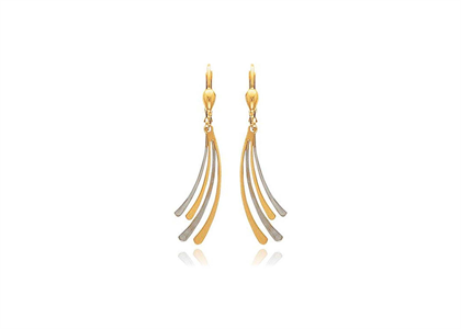 Two Tone Plated | Danglers Earrings